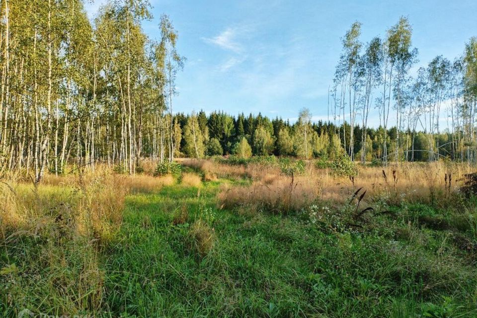 Купить Землю В Подмосковье С Коммуникациями