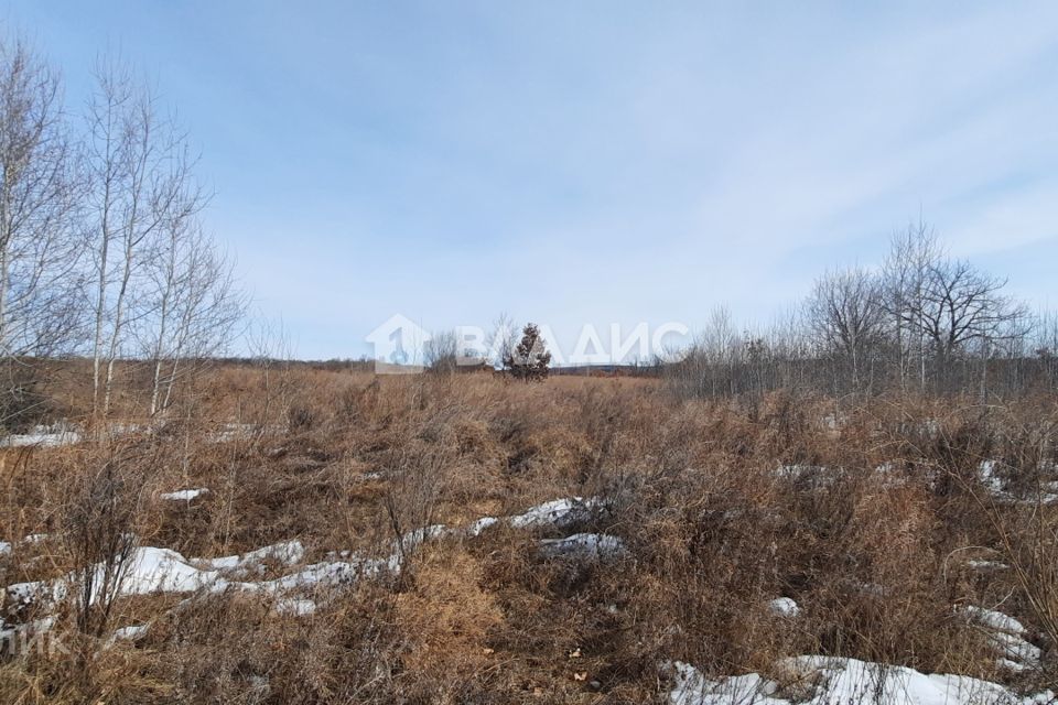 Село Игнатьево Амурская область