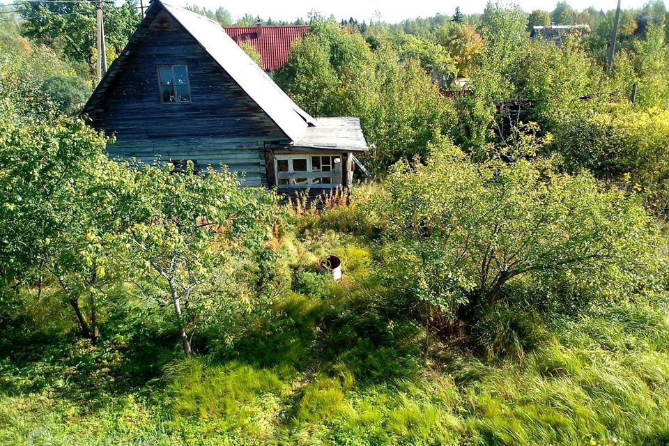 Купить Участок В Дивенской Лужский Район