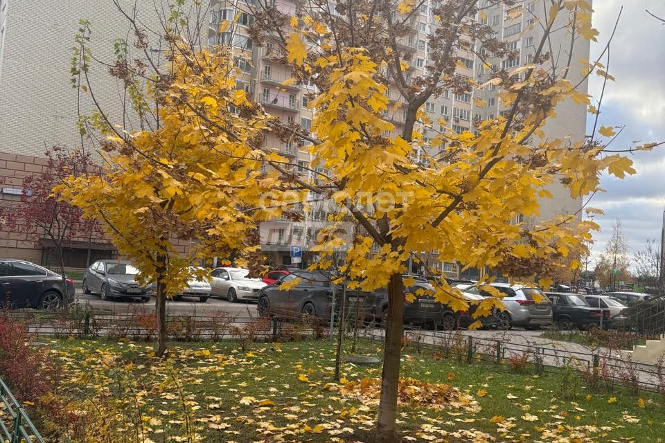 фото отбъекта