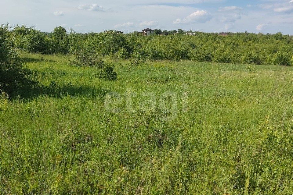 Купить Участок В Кулешовке Азовского