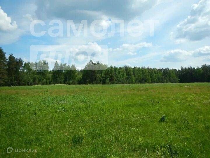 Широкое поле. За деревней широкое поле за полем роща. Земледелие в степи. Поля и леса беларусь. В поле.