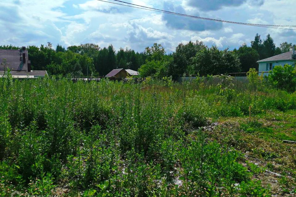 Панкратово Вологодская область Бабаевский район. Деревня Панкратово Вологодской области. Деревня Бабаево Вологодская область. Ширяевка Бабаево Вологодская область.