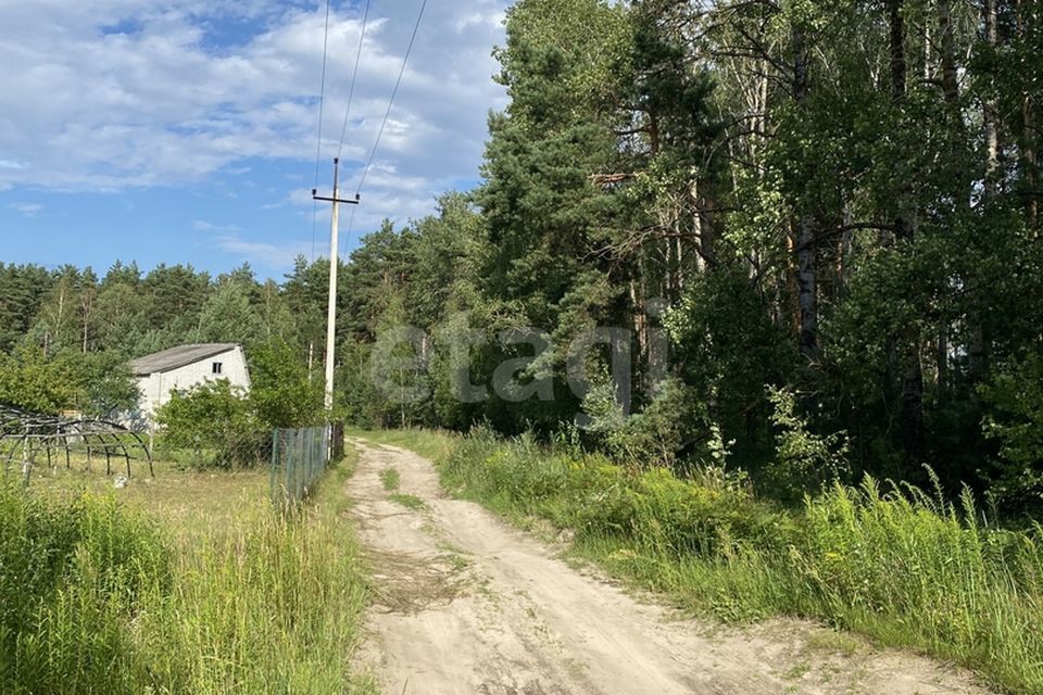 Купить Земельный Участок В Брянской Области
