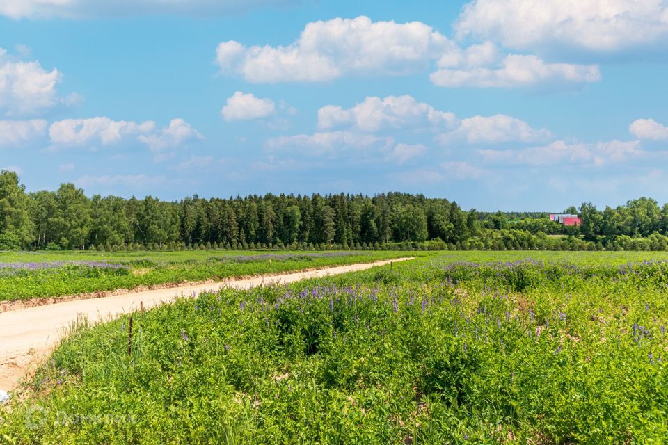 Участок жуковский московская область. Река быковка в жуковском. Снт мичуринец г. Участок жуковский московская область. Жуковский снт.