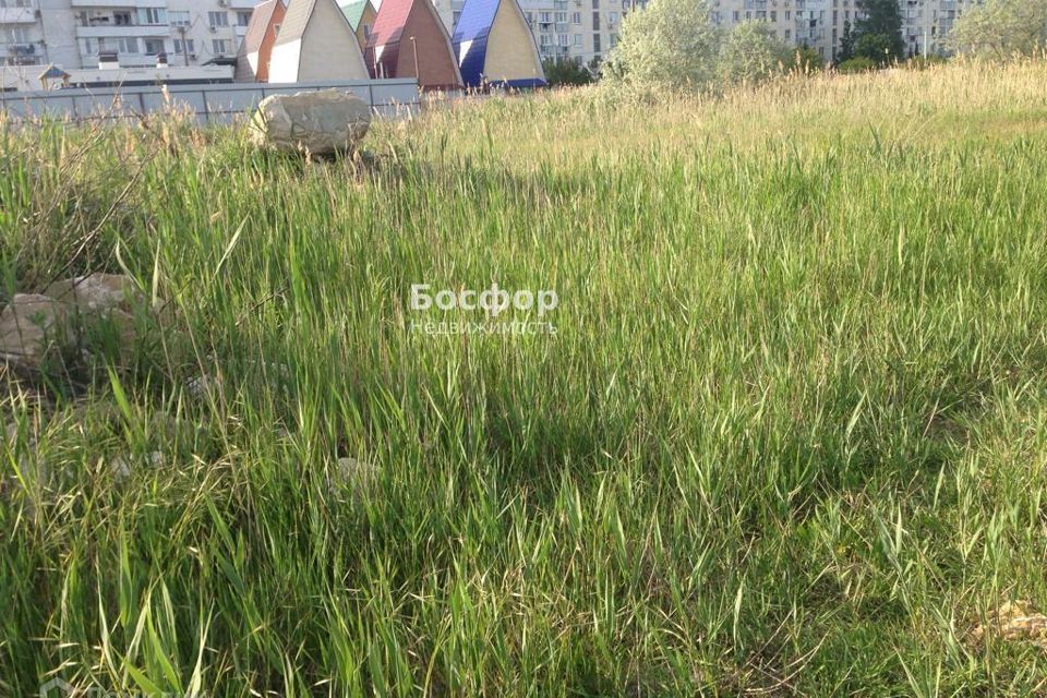 Феодосия ул солнечная. Ближние камыши Феодосия