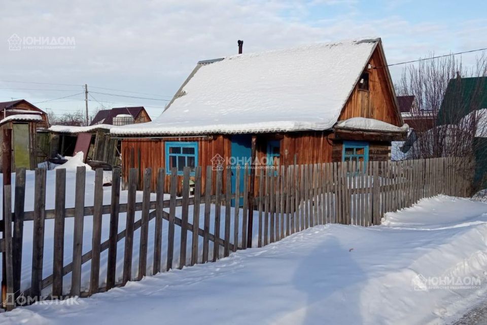 Тополиная тюмень. Председатель СНТ тополя Южного Урала.