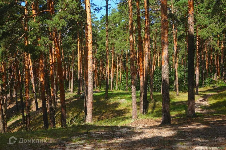 каталог Сосновый Бор