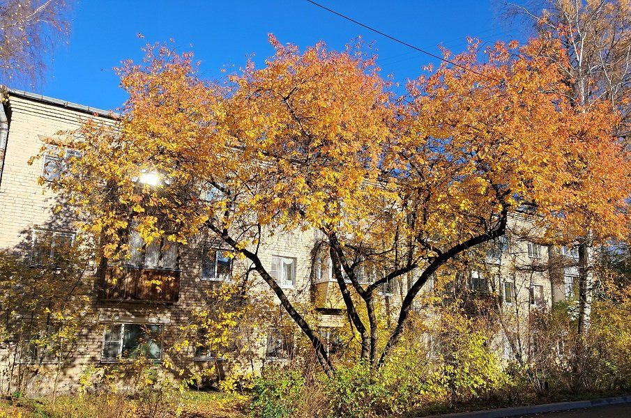 Продаётся 1-комнатная квартира, 28.1 м²