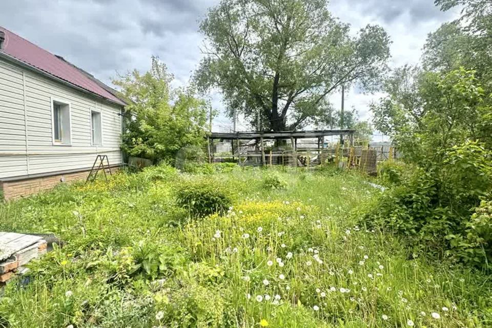 Купить Дом Рогачевка Новоусманский Район