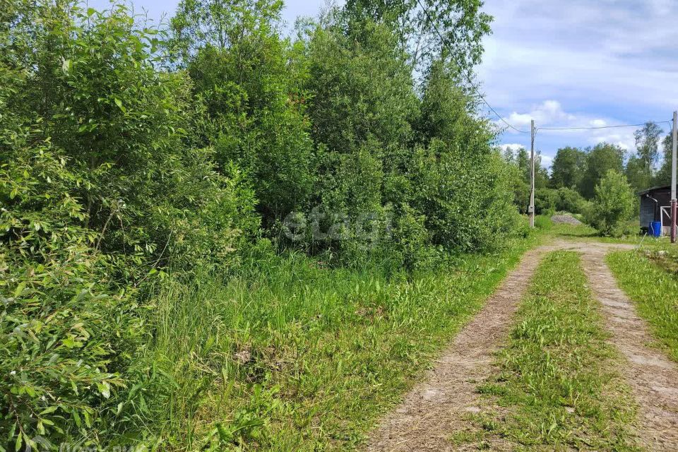Купить Участок В Снт Лесное Собинка
