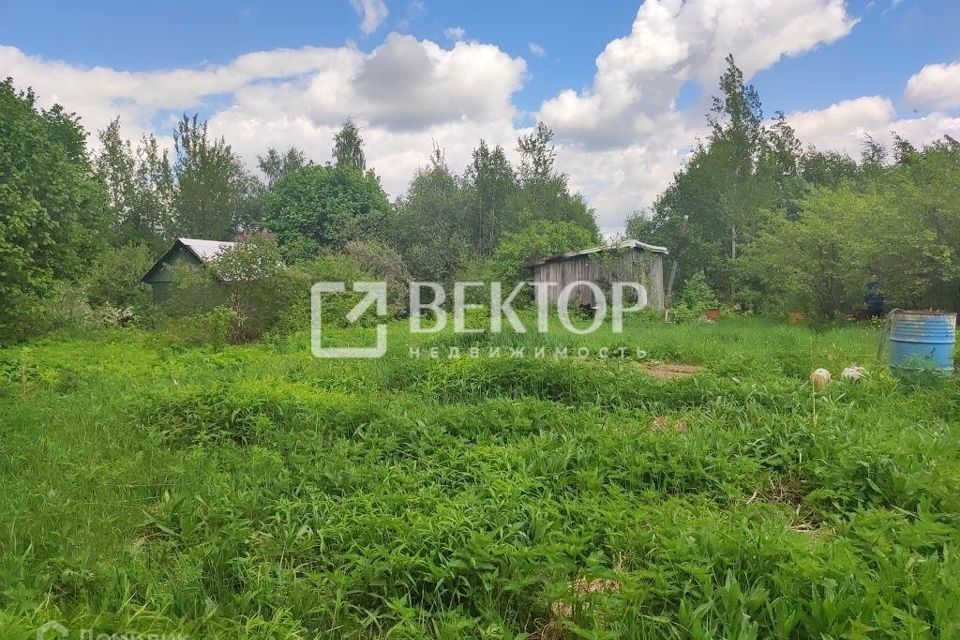 Участок 149. Участок 149
