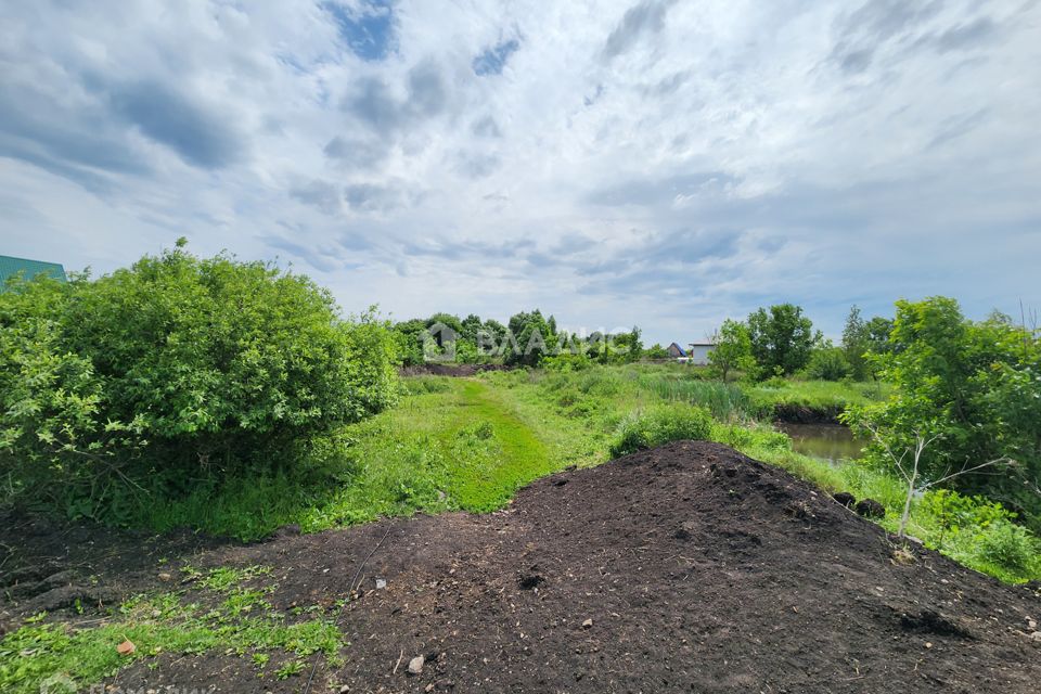 Лев кольцевая ул 65в село засечное отзывы. Село Засечное Пензенская область.