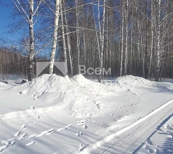 Снт Яблоневый Сад Новосибирск Купить