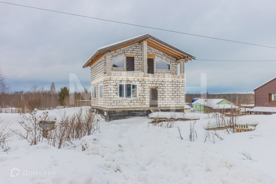 Входные двери «Snegir Cottage» (Снегирь Коттедж) - первая дверь зимой, среди дверей Torex