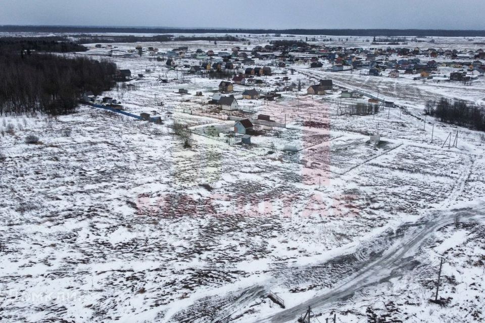 Низинское сельское поселение ломоносовского