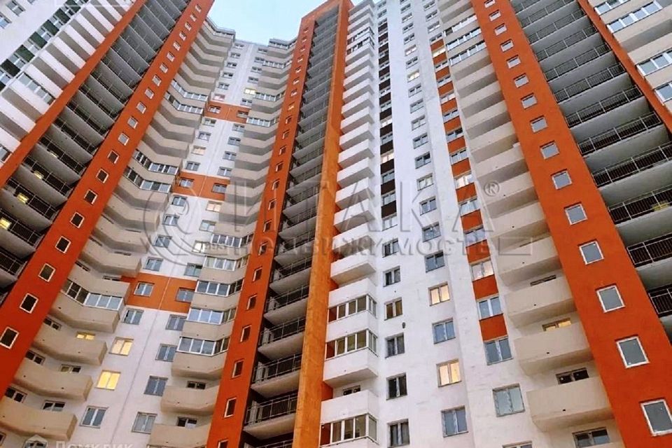 Квартира новгородский проспект шушары. Новгородский 10 шушары. Квартира новгородский проспект шушары. Квартира новгородский проспект шушары. Новгородский проспект 6.
