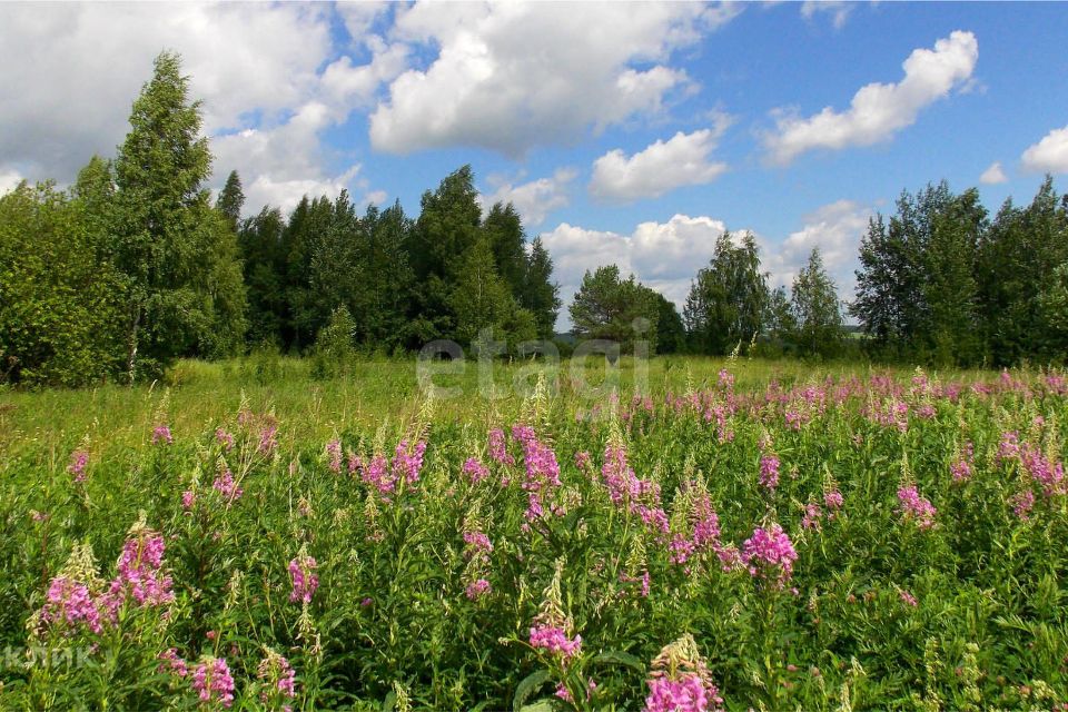 Купить Участок В Республике Марий Эл