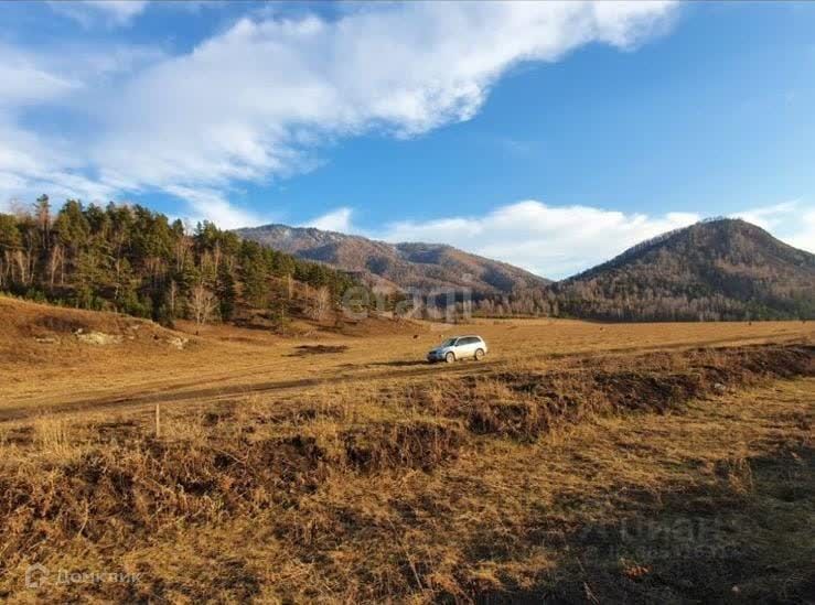 Купить Участок На Алтае Чемальский Район
