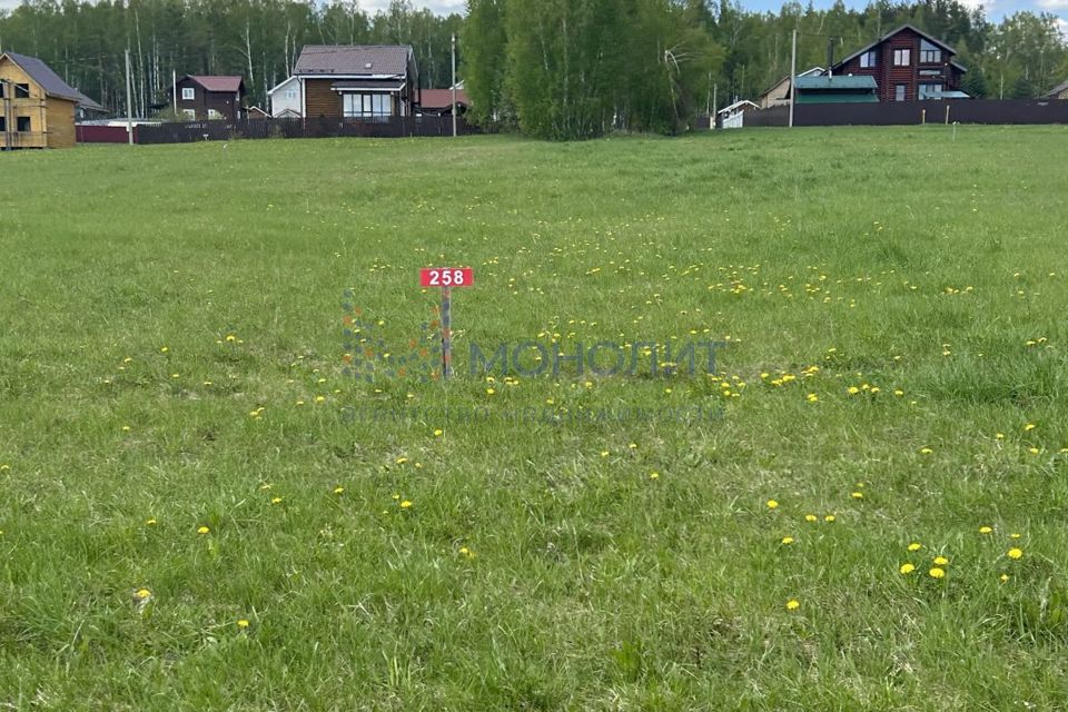 Лисьи ямки погода нижегородская область. КП Янтарный Бор. Зубаниха