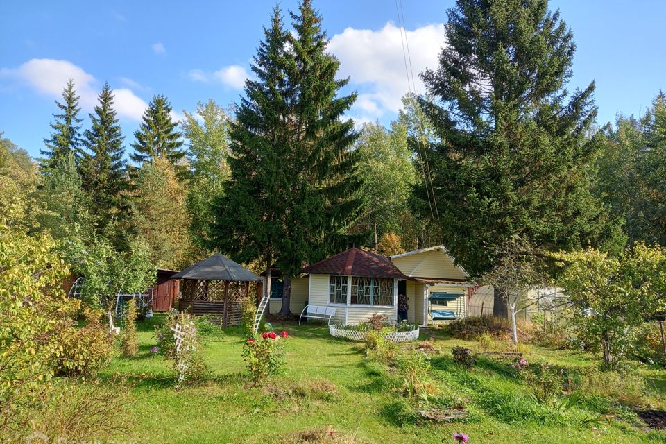 Погода в снт красницы