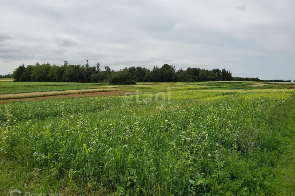 Купить Участок В Лукерьино Коломенского Района