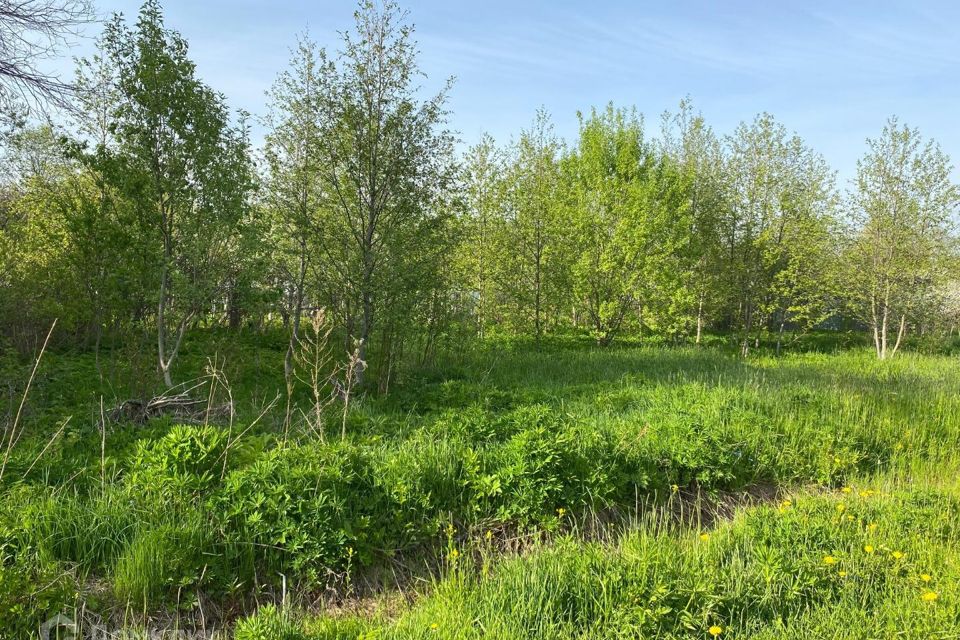 Снт авиатор красное село. Огородничество авиатор. Снт авиатор пруд пермь. Сад авиатор екатеринбург. Снт авиатор красное село.