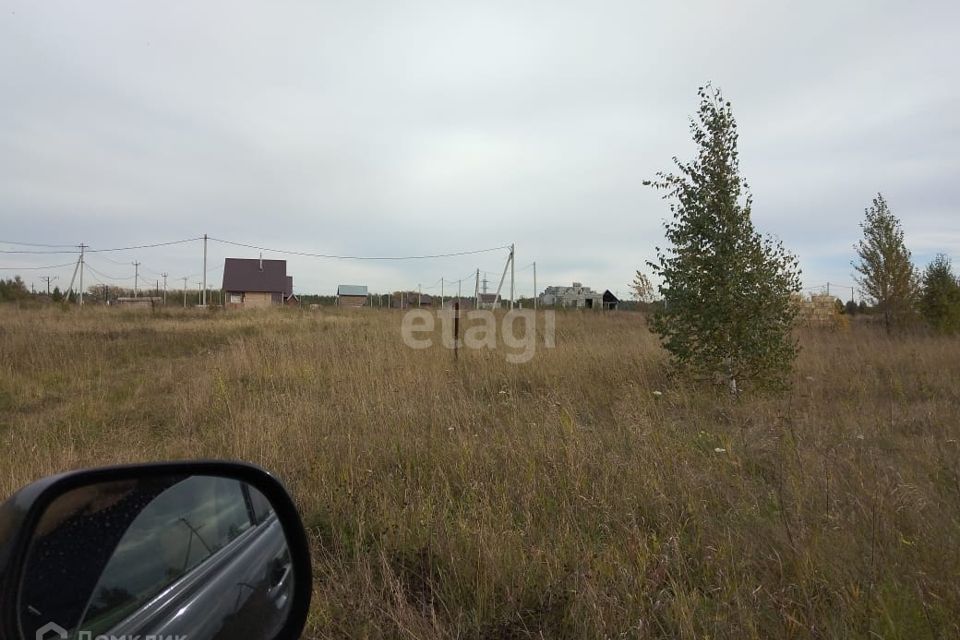 Снт кедр колыванский