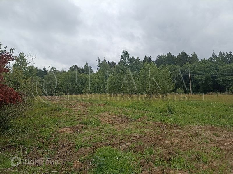 Купить Участок В Дивенской Лужский Район