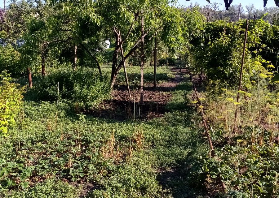 Купить Дачу В Белой Калитве Ростовской Области