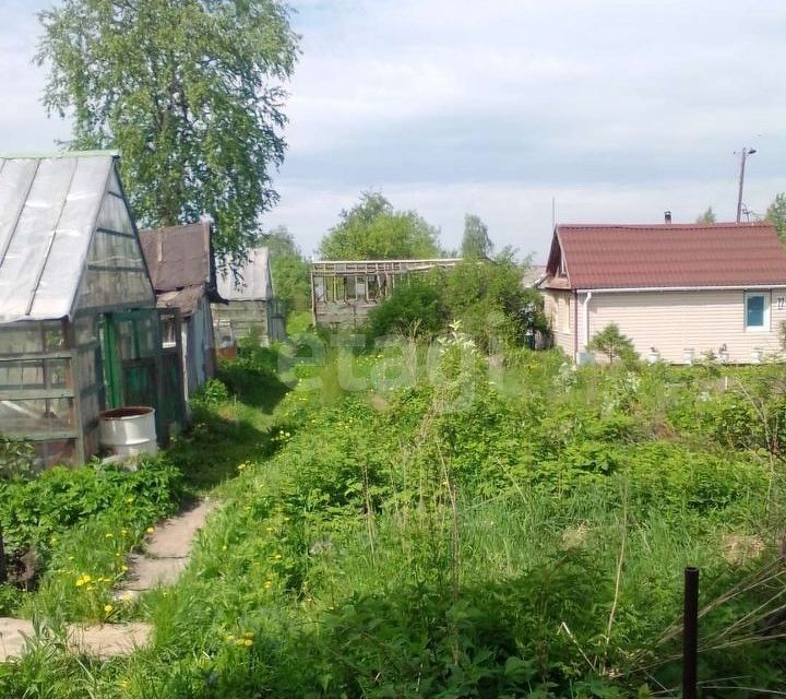 Место под солнцем, СНТ роща.