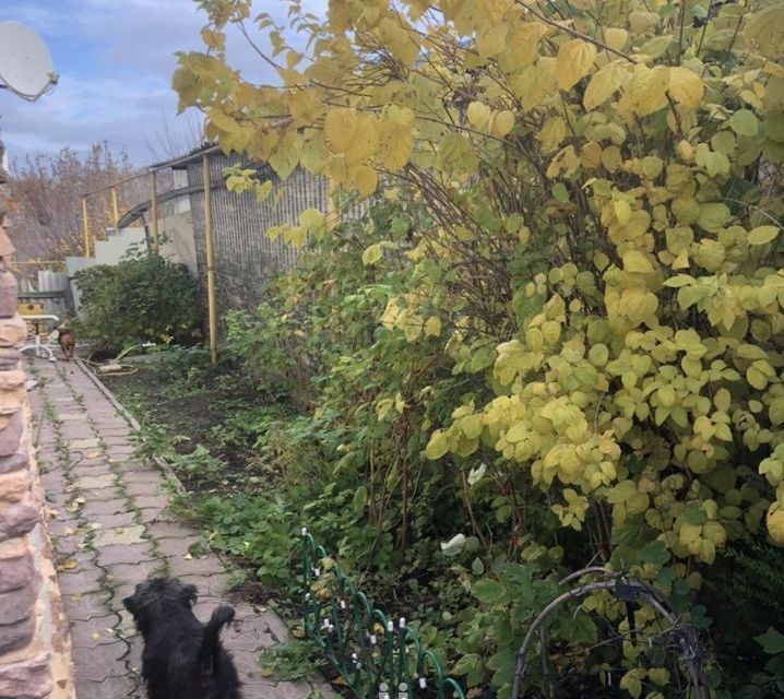 Купить Дом В Шахтах Цена