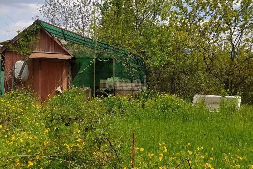 СНТ большая семья Воронеж. Губарево Воронеж СНТ Лесное.