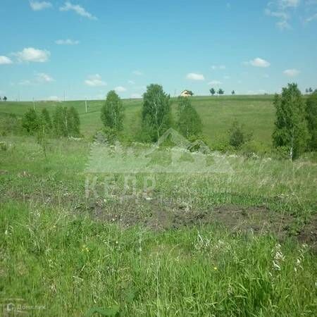 Купить Участок Ижс В Красноярске Солонцы