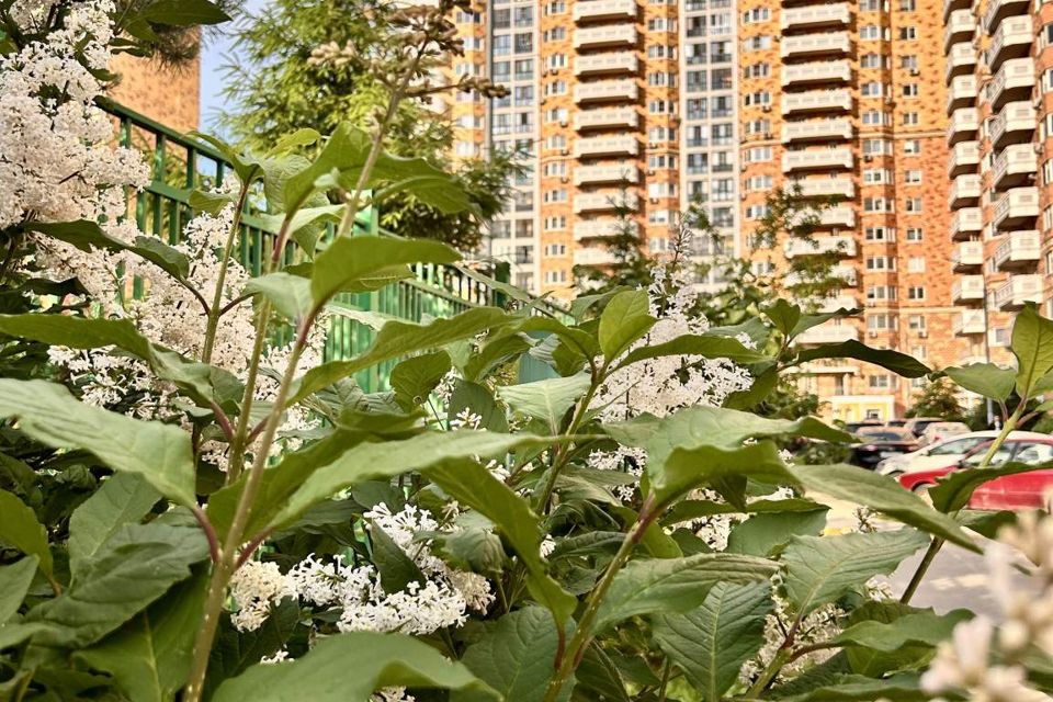 Продаётся 1-комнатная квартира, 44.6 м²