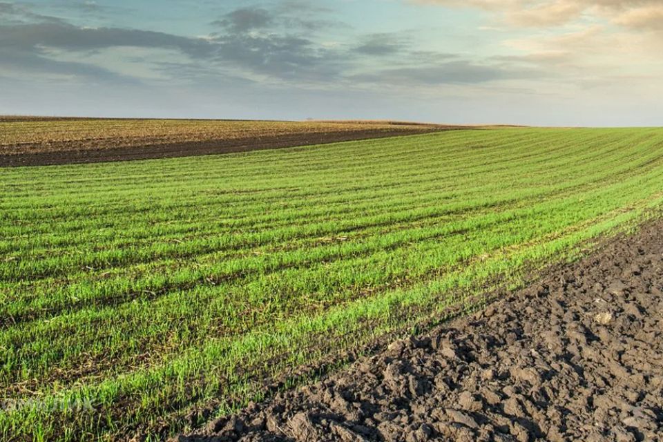 Продаётся земельный участок, 500 сот.