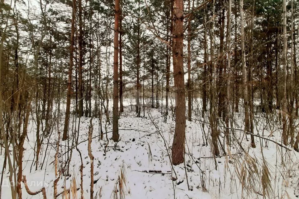 Купить Землю Ижс В Киришском Районе