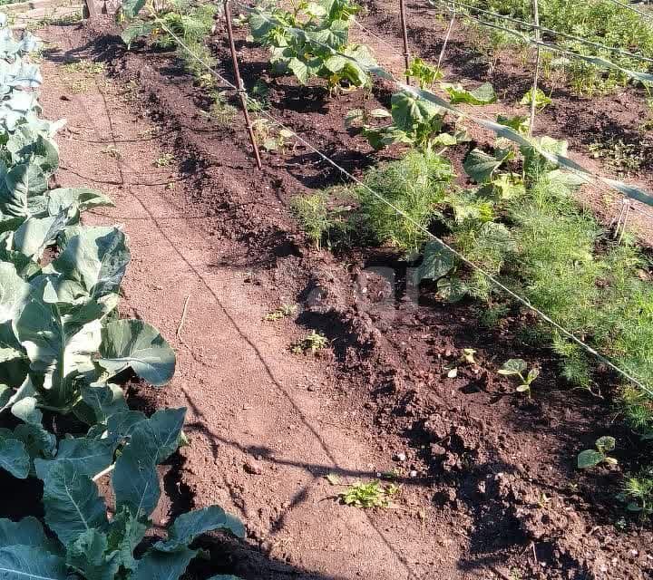 Дачи В Снт Урожай Осташково Омск Купить