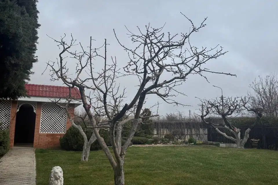 Продаётся 2-этажный дом, 11 м²