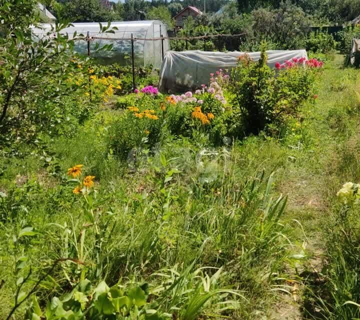 Купить Дачу В Ельцовке Новосибирск Недорого