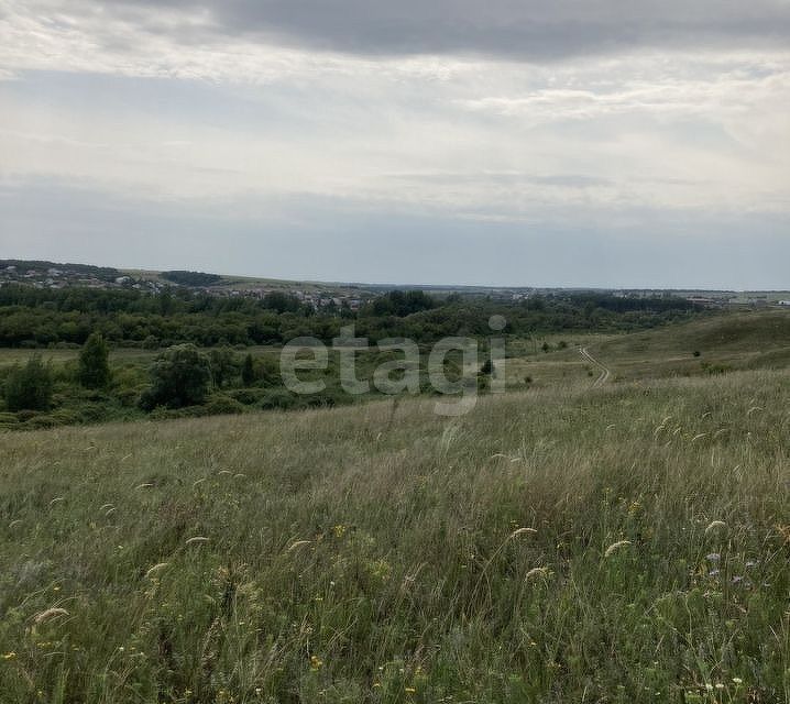 Купить Земельный Участок В Разумном Белгородского Района