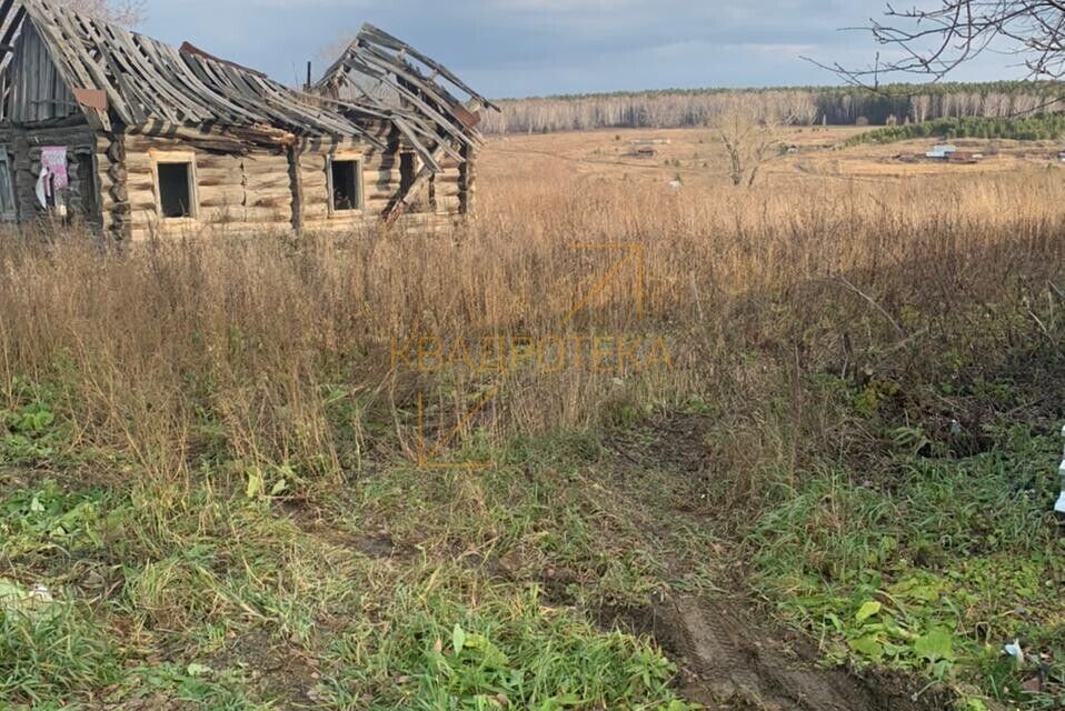 Тогучинский район деревня голомыскино фото