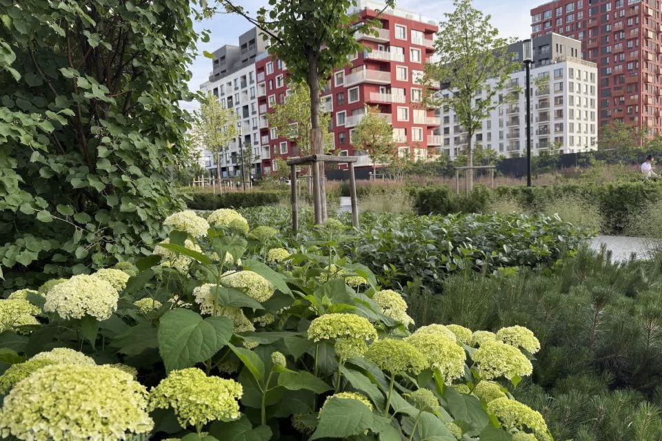 Продаётся студия, 20.4 м²