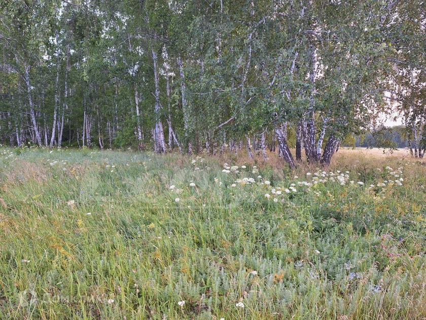Купить Участок В Акиярах Больших