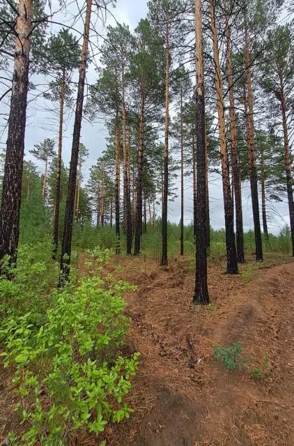 Продаётся участок, 19930 сот.