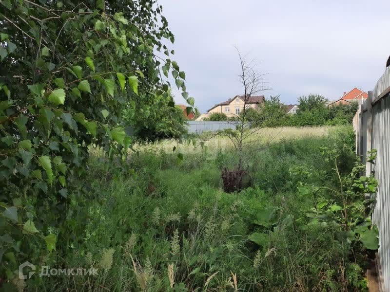 Садовые участки воронеж. Теплицы в Бабяково.