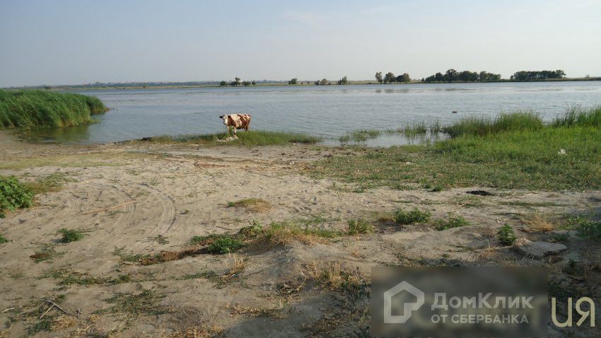 Озеро дугино ростовская область