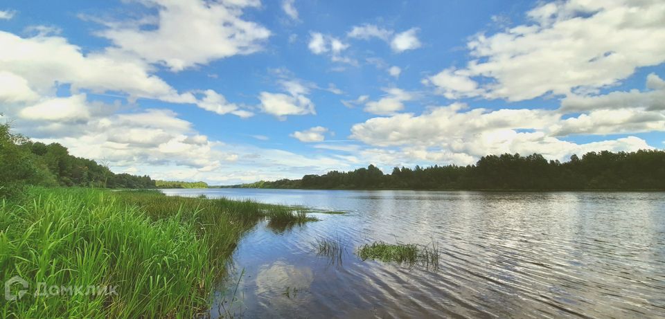 Купить Участок В Чудовском Районе Новгородской Области