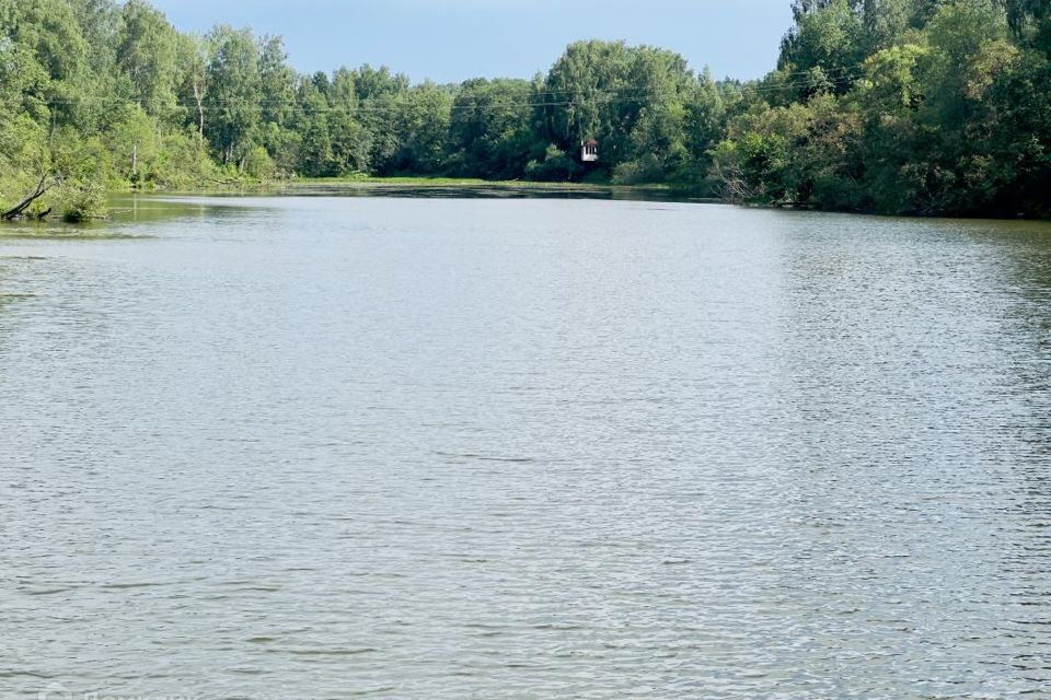 Озеро Черное в Домодедовском районе: информация для рыбаков