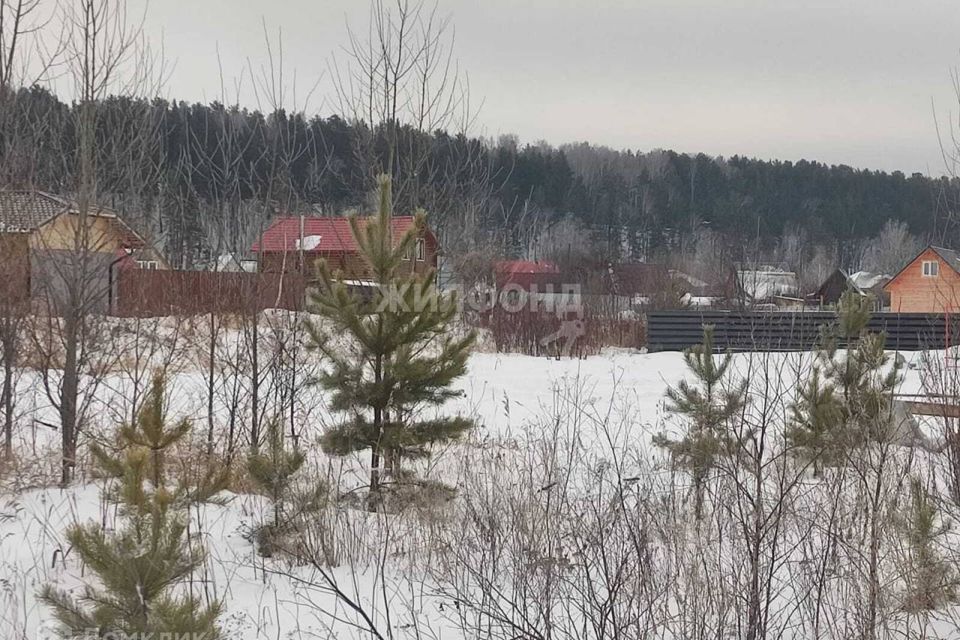 Тсн новосибирск